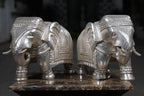 SILVER GAJA