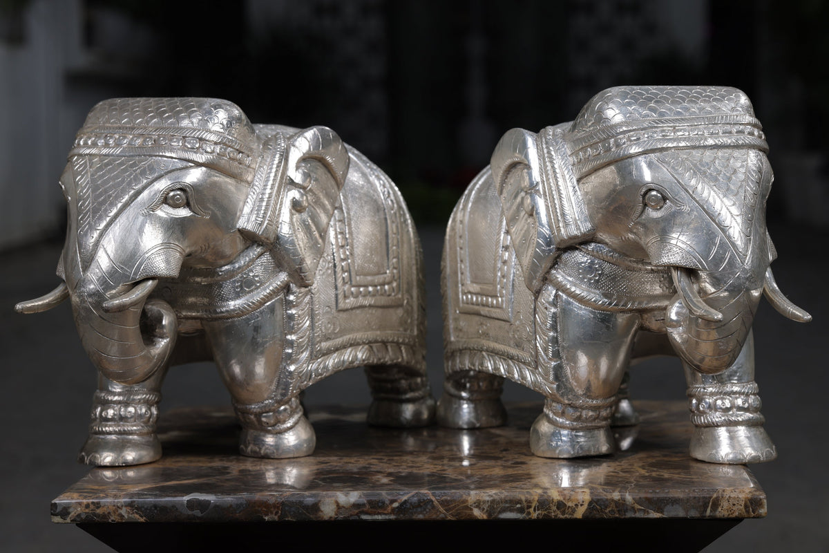 SILVER GAJA
