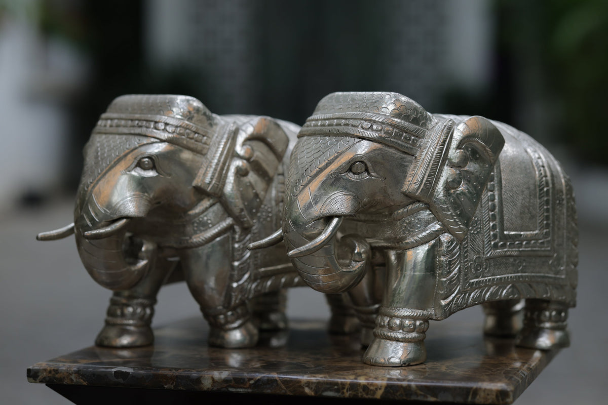 SILVER GAJA