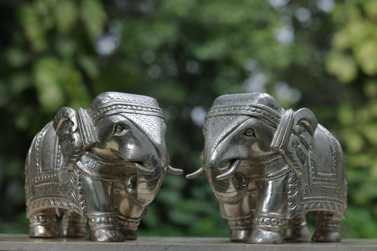 SILVER GAJA