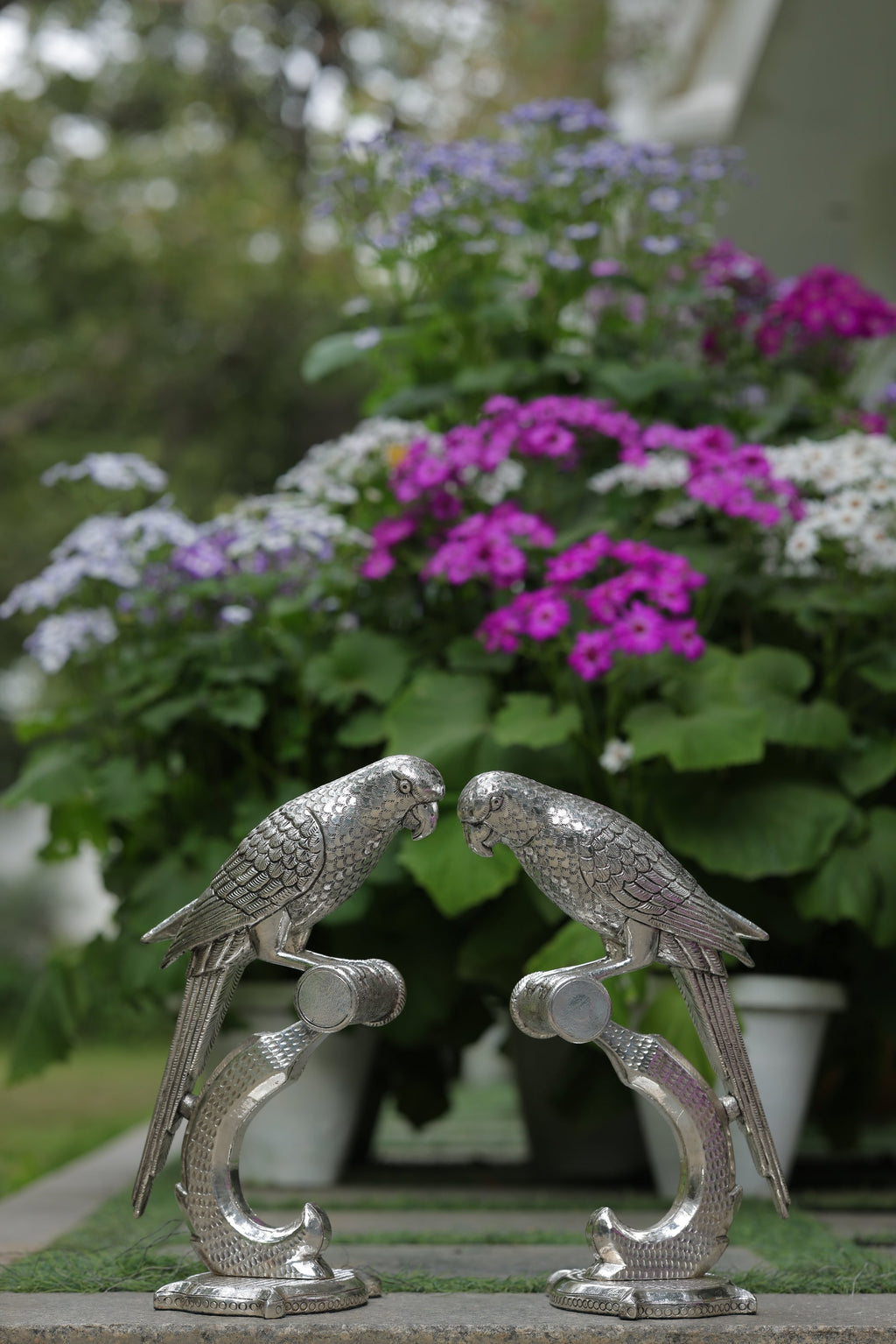 PARROT - SHUKA