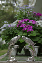 PARROT - SHUKA