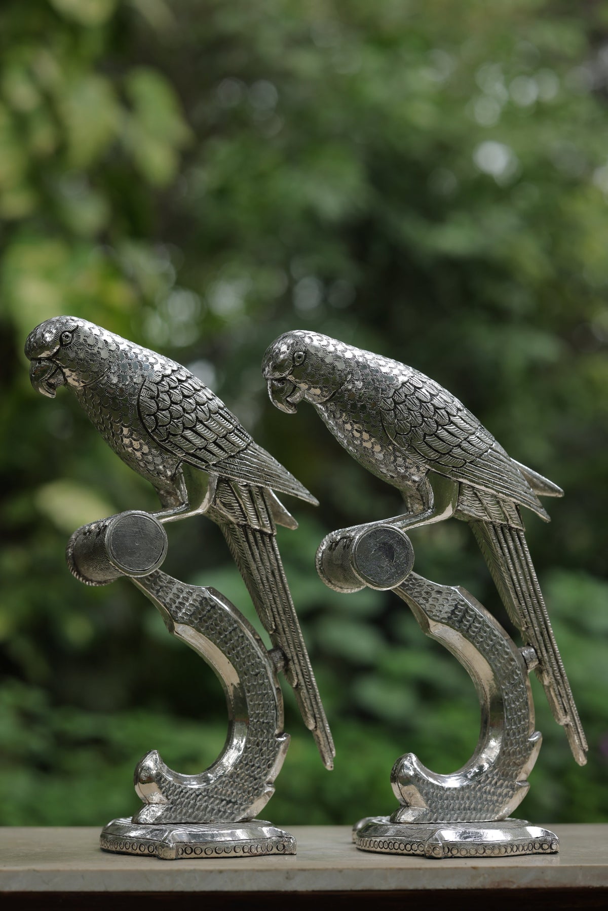 PARROT - SHUKA