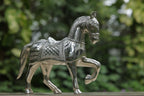 HORSE - ASHWA
