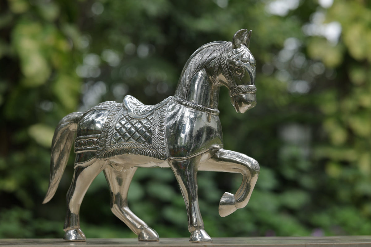 HORSE - ASHWA