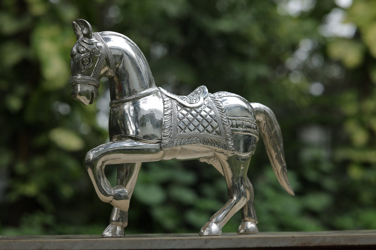 HORSE - ASHWA