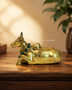 Brass Nandi 7.5 inch