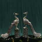 MAYURA - PEACOCK