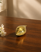 BRASS SANKH CONCH
